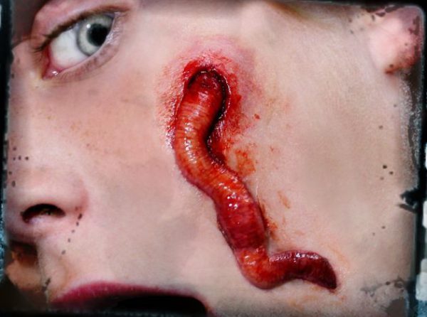 FX Transfers kit Worm