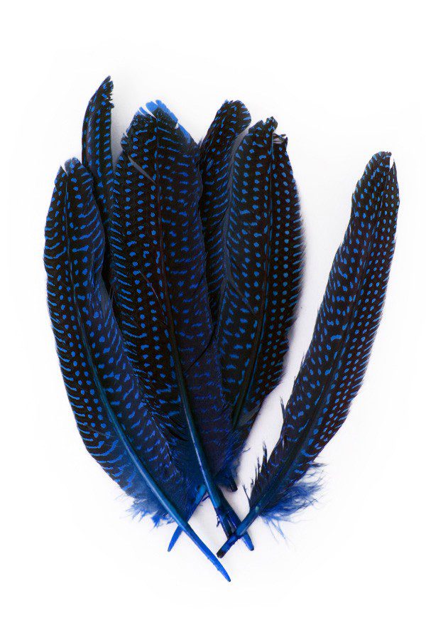 Veren Parelhoen donkerblauw 15/20 cm - 10 st.