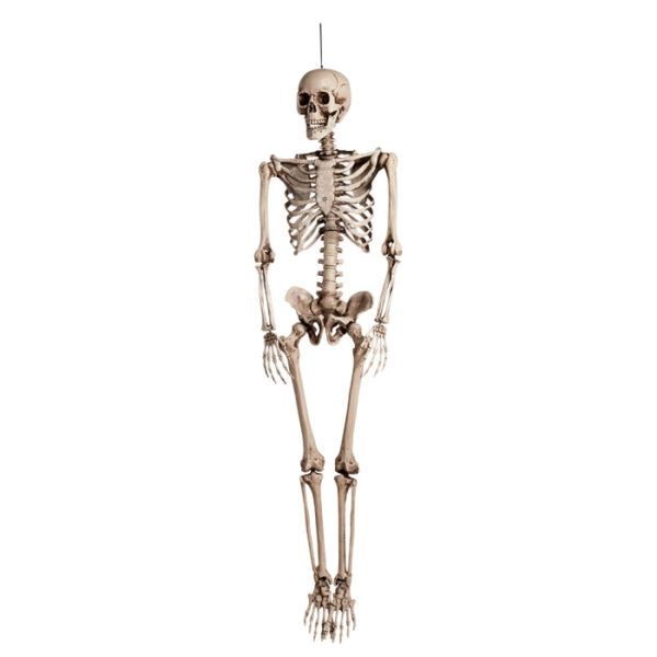 Decoratie Skeleton 160cm