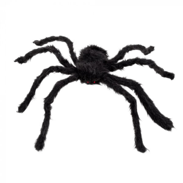 Harige spin zwart