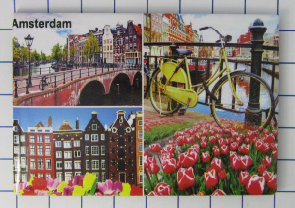 Koelkastmagneet Amsterdam (gracht,fiets,tulpen)