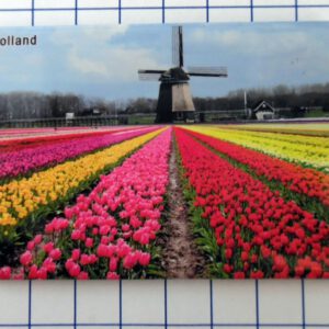 Koelkastmagneet Holland tulpenveld