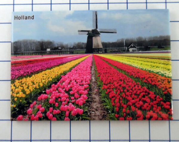 Koelkastmagneet Holland tulpenveld