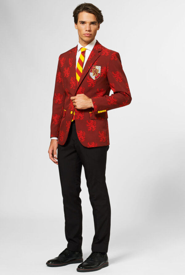 Opposuits Harry Potter (Gryffindor)