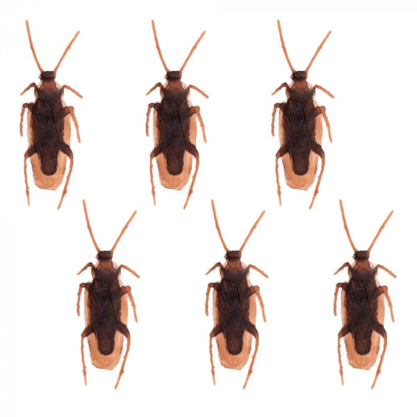 Set 6 Kakkerlakken