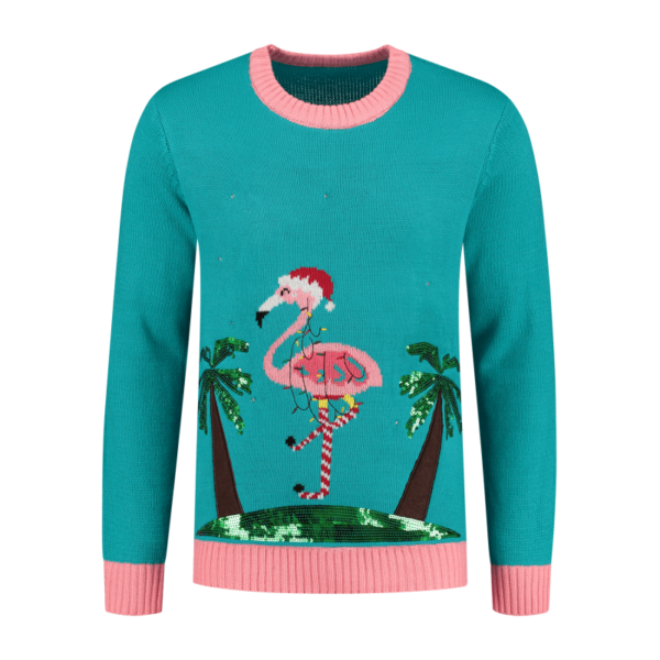 Sweater Caribbean Flamingo with led
