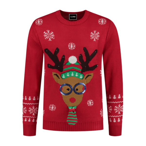 Sweater Rudolph with tie and led
