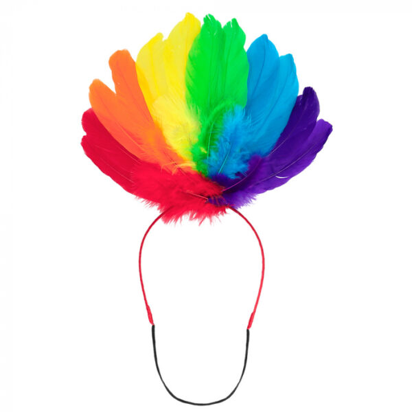 Tiara Pride regenboog veren