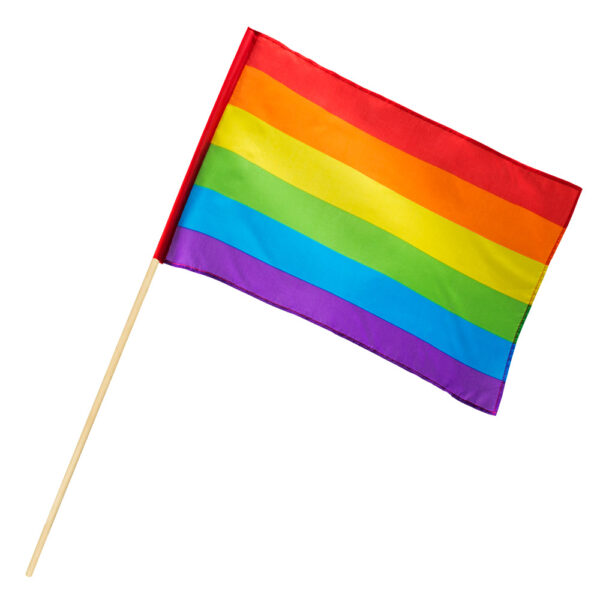 Vlag Regenboog op stok