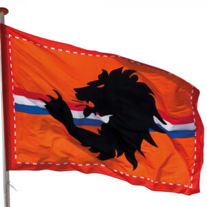 Vlag XL oranje + leeuw