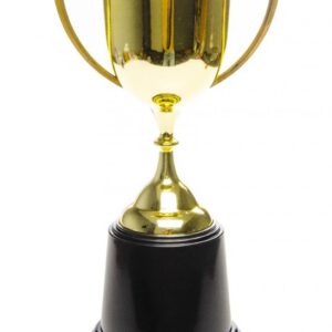 Winner Trophy cup / Beker
