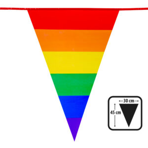 XL Vlaggenlijn Regenboog