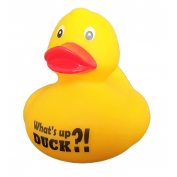 Badeend DUCKY TALK Whats's up DUCK ?