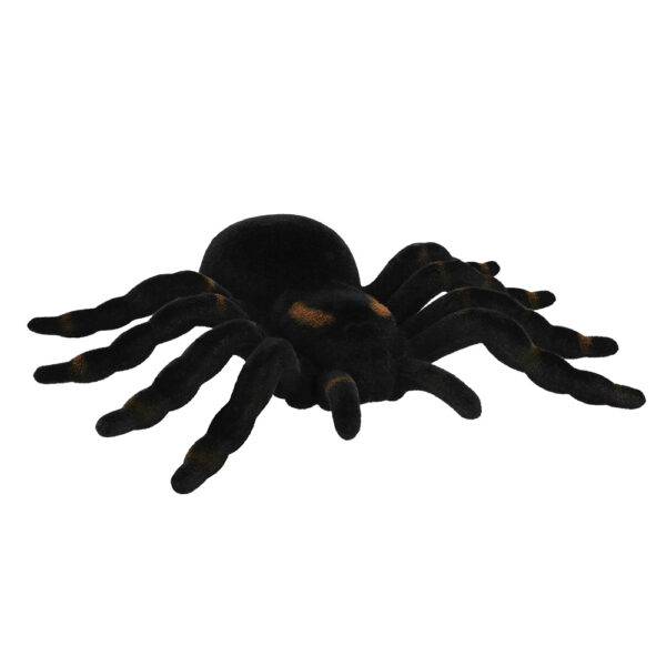 Decoratie Tarantula spider