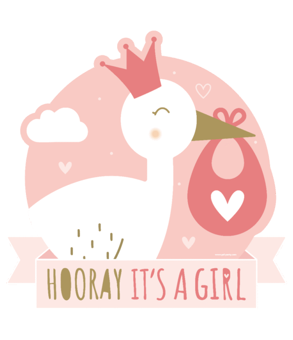 Huldeschild Newborn Baby Girl