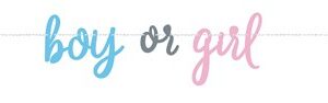 Letterslinger Gender reveal boy or girl