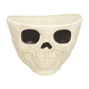 Schaal Skull