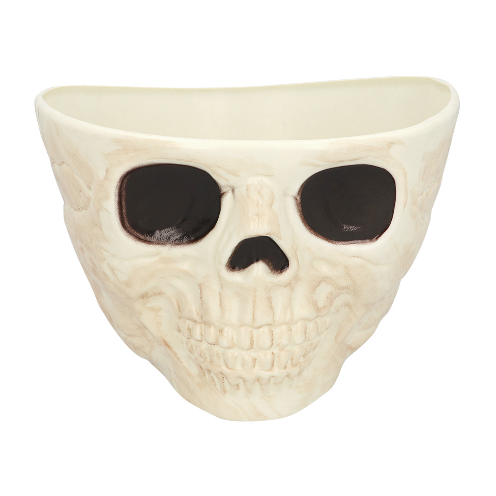 Schaal Skull