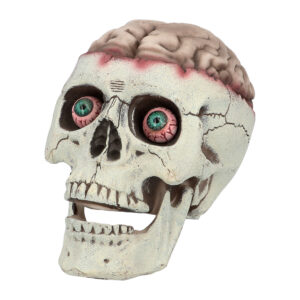 Schedel Brain dead met beweegbare kaak