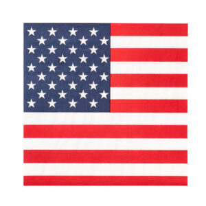 Set 20 papieren servetten USA