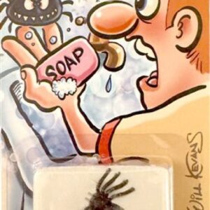 Spinnenzeep
