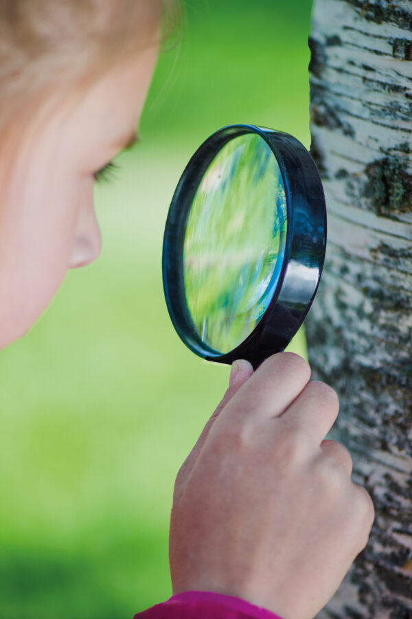 Vergrootglas / Loep