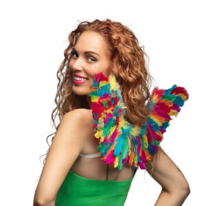 Vleugels engel Colourfull