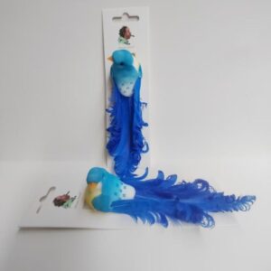 Vogeltje blauw/oranje